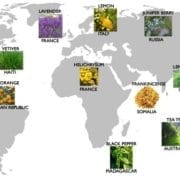 Sourcing Map-600px