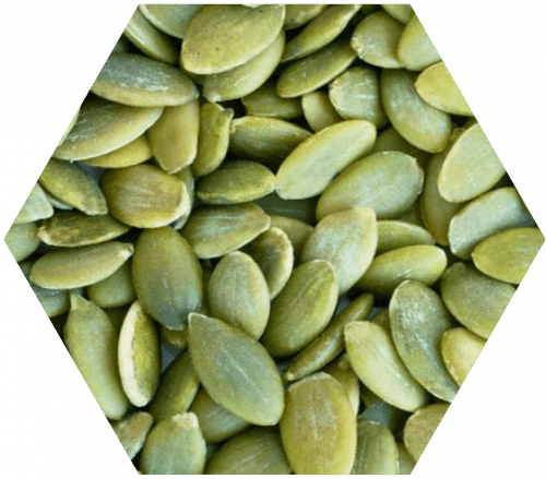 magnesium-500x439